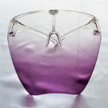 Load image into Gallery viewer, Stylish Anti Fog Face Shield